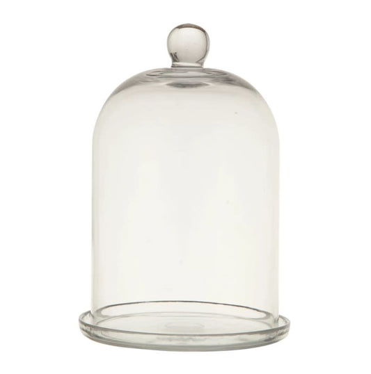 Glass Cloche Set
