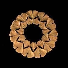 Gingko Trivet | Gold Pewter