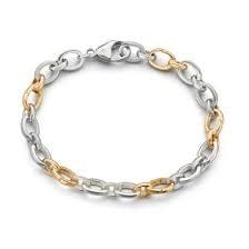 Two Toned Audry Link Charm Bracelet With Hinged Links