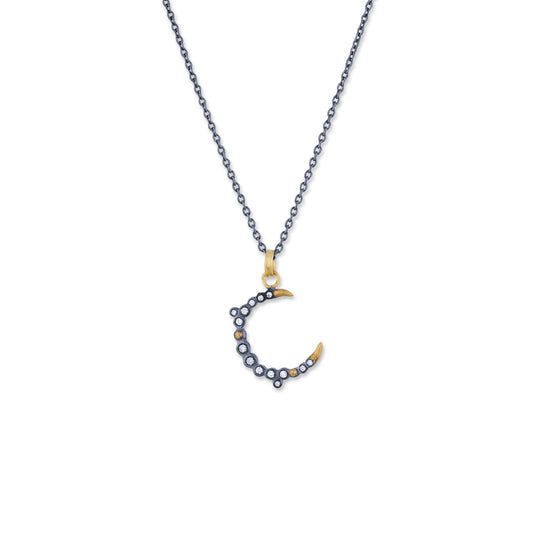 Small Dylan Celeste Moon Necklace