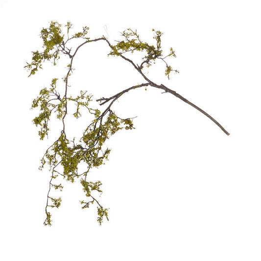 Iced Moss Branch 48"