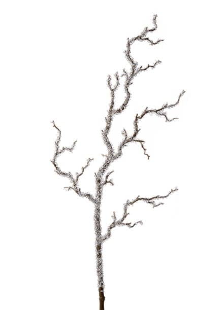Iced Branch | 39in