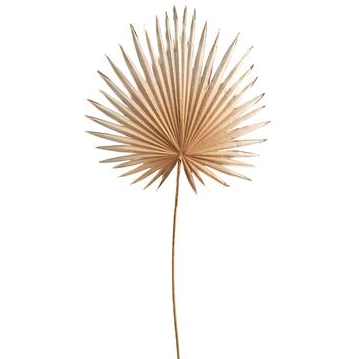 Fan Palm Spray | Beige 30in