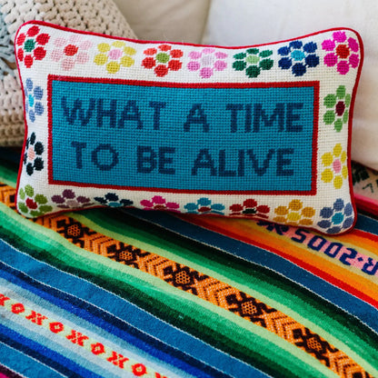 Needlepoint Pillow | What a Time