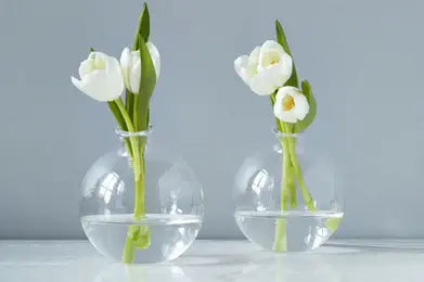 Clear Sphere Bud Vase | 5.5in