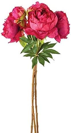 Peony Bundle Pink