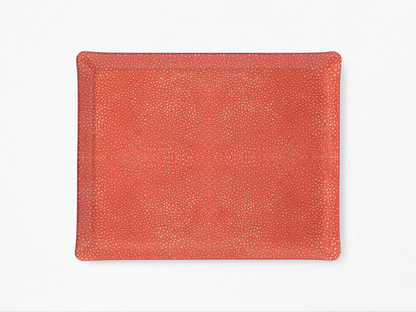 Acrylic Tray | 14x18in