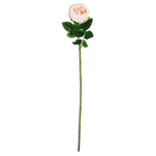 Peach Rose Stem
