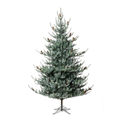 Blue Spruce Christmas Tree | 9ft
