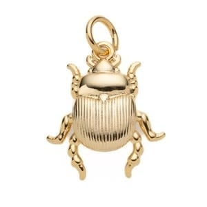 Beetle Bug  Charm Pendant