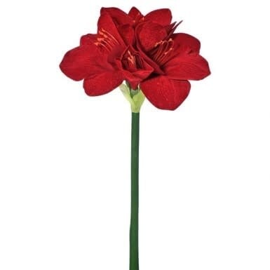 Velvet Natural Amarylis Stem | 30in