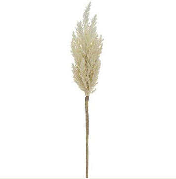 Pampas Grass Spray | Ivory 33in