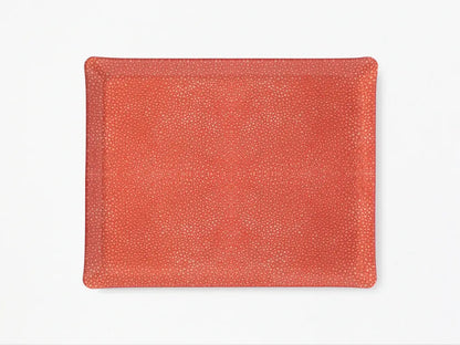 Acrylic Tray | 14x18in