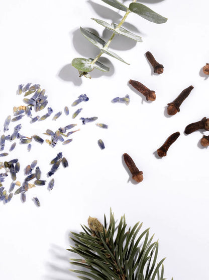 Pura Diffuser Refill | Pura Simply Lavender