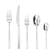 Stainless Steel Solid Handle Place Setting | Linea Q 5pc