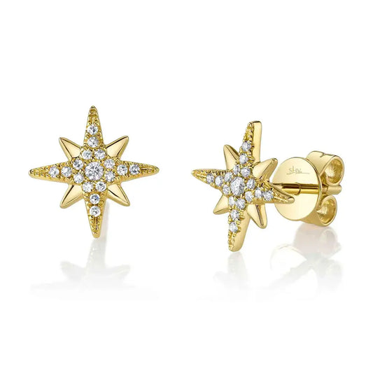 Diamond Star Stud Earrings | .12c 14k YG