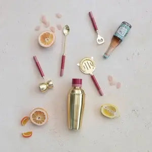 Cocktail Shaker Stainless Steel + Resin | 10in Gold + Pink