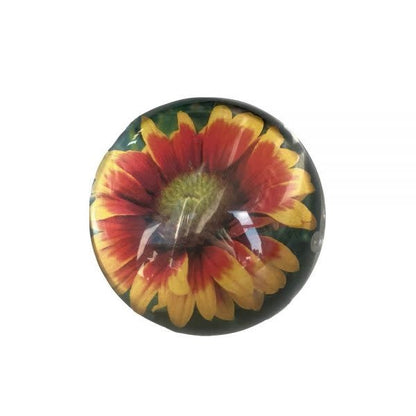 Clear Sphere Magnet Frame