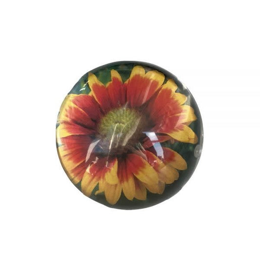Clear Sphere Magnet Frame