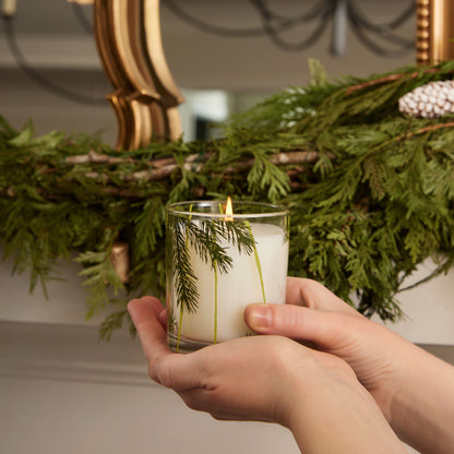 Frasier Fir Poured Candle | Pine Needle 16oz