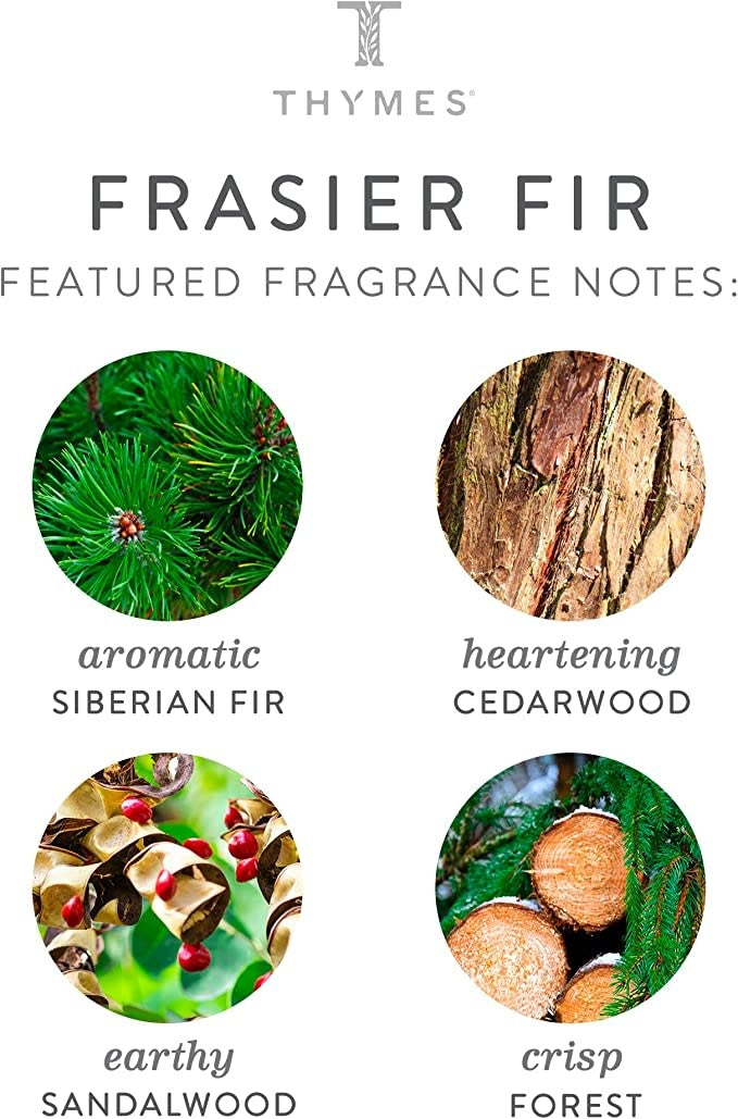 Frasier Fir Gilded Ceramic Candle | 6oz