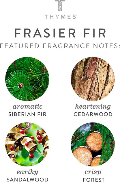 Frasier Fir Gilded Ceramic Candle | 6oz