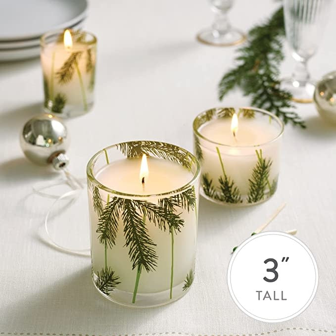 Frasier Fir Gilded Ceramic Candle | 6oz