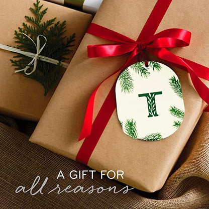 Frasier Fir Gilded Ceramic Candle | 6oz