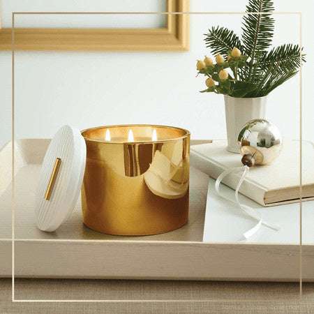 Frasier Fir Poured Candle | Gilded Gold 3-Wick 17oz