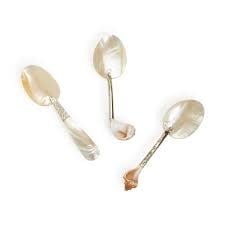 Mother of Pearl Spoon