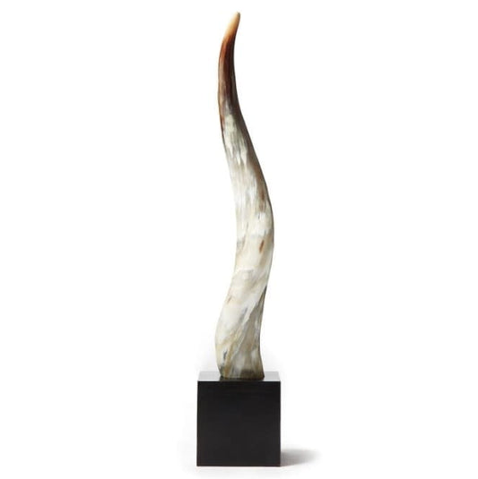 Yak Horn on Wood Base