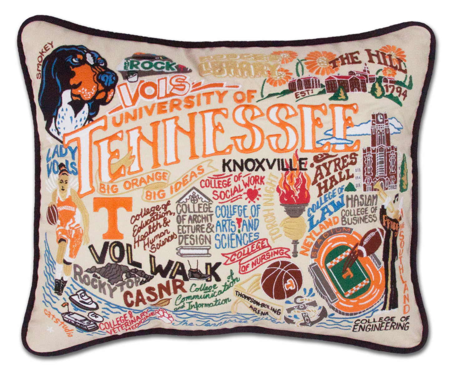 CatStudio Pillow